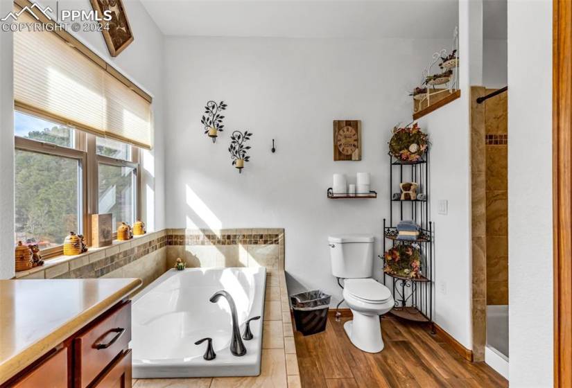 Bathroom with hardwood / wood-style floors, tiled shower, vanity, and toilet