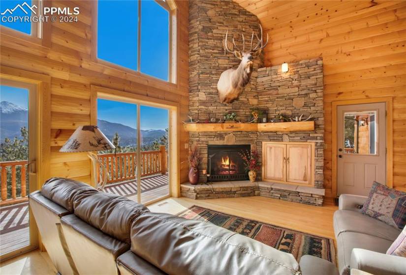 Living room featuring a mountain view, a gas fireplace, and TV cabinet