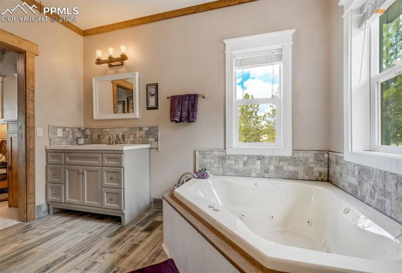 Bathroom with crown molding, wood-type flooring, and vanity