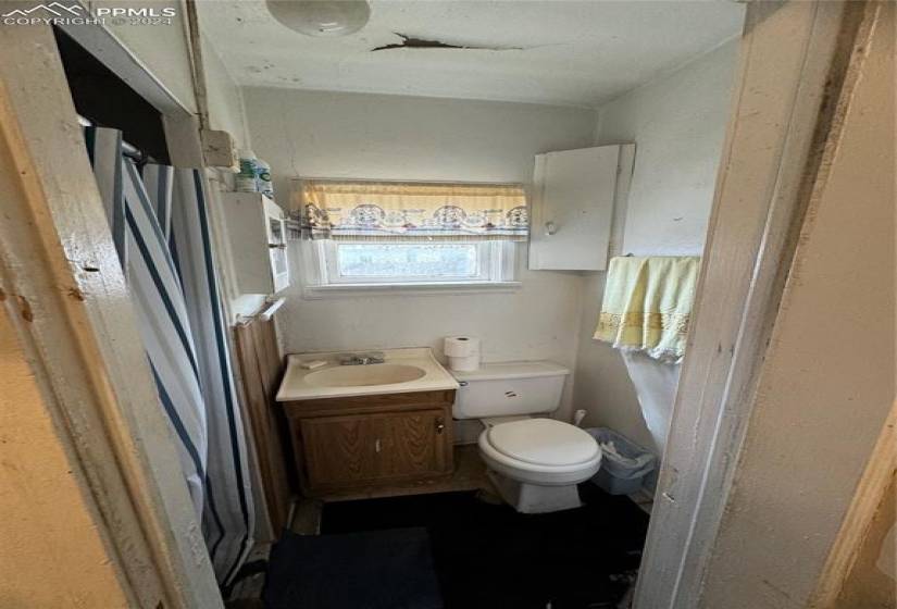 Bathroom with toilet and vanity and shower