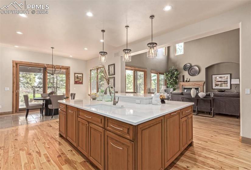 Magnificent gourmet kitchen with customcabinets and quartz countertops.