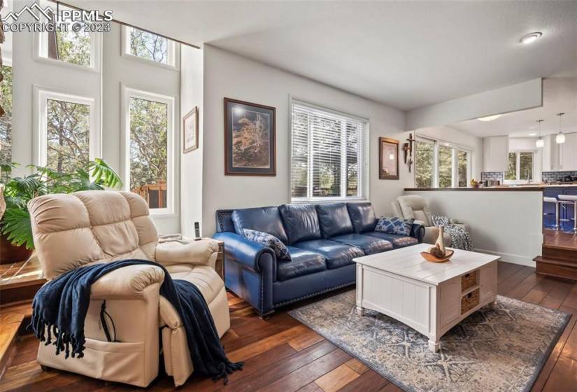 Living room with dark hardwood / wood-style floors and plenty of natural light