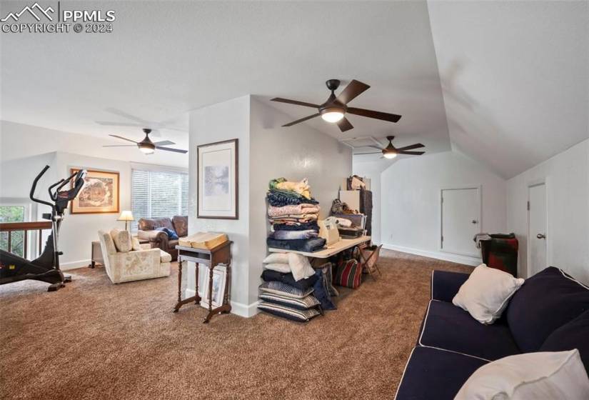 Carpeted living room featuring lofted ceiling, a wealth of natural light, and ceiling fan