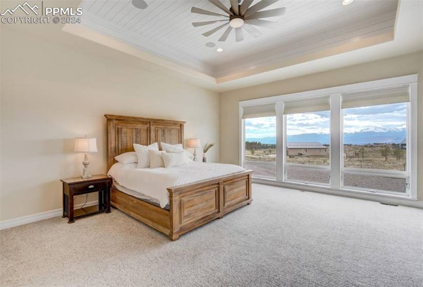 Main level Owners Suite has shiplap trace ceilings & mountain views.