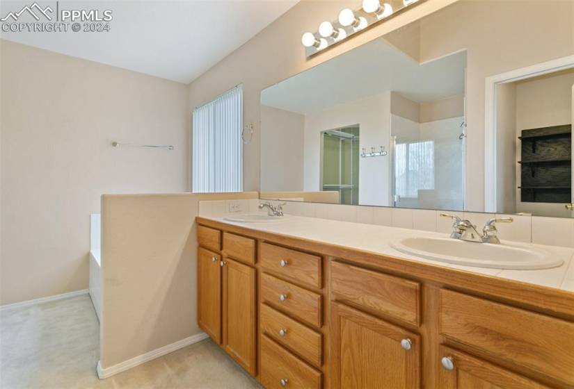 Bathroom featuring a wealth of natural light and double sink vanity