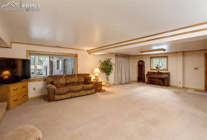 Living room with a wealth of natural light and light carpet