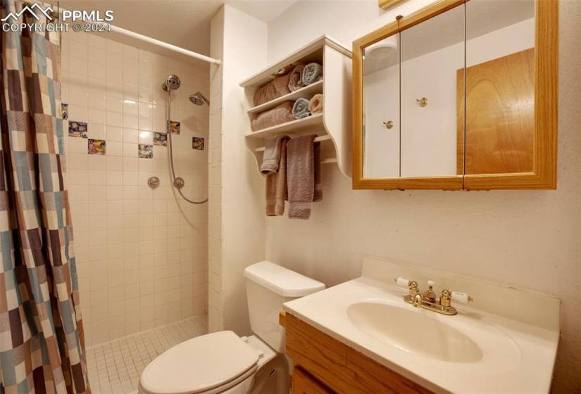 Bathroom featuring walk in shower, toilet, and vanity