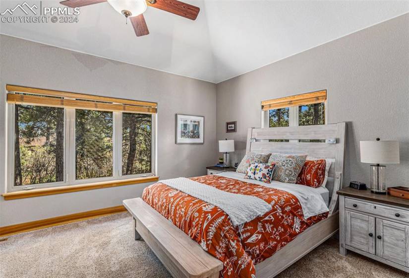 Bedroom featuring lofted ceiling, carpet, multiple windows, and ceiling fan