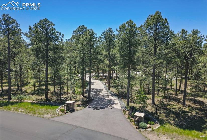 Arial view of beautifully treed lot and paved & concrete driveway to home.