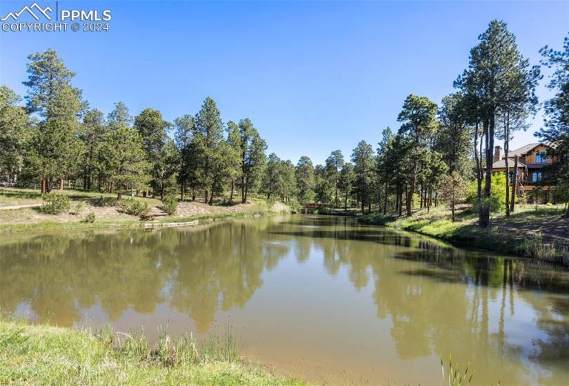 High Forest Ranch Pond across from Clubhouse